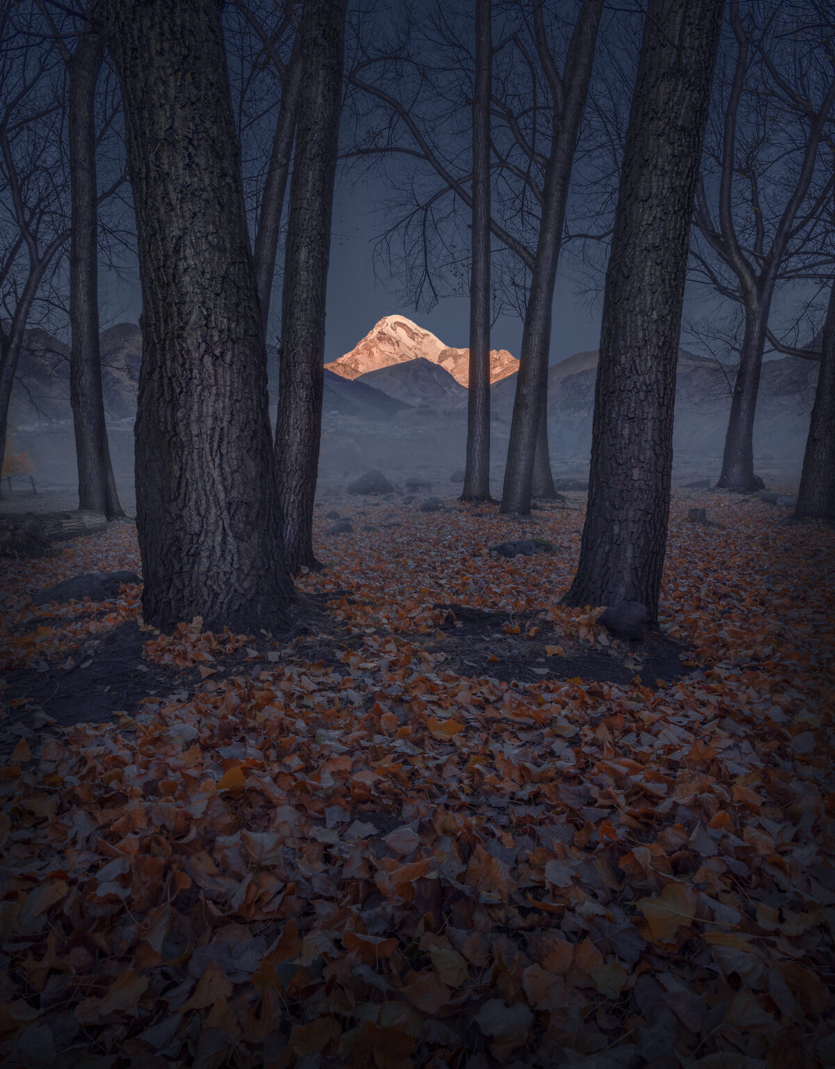 Dreamy vistas dominate the 2021 International Landscape Photographer of the Year awards