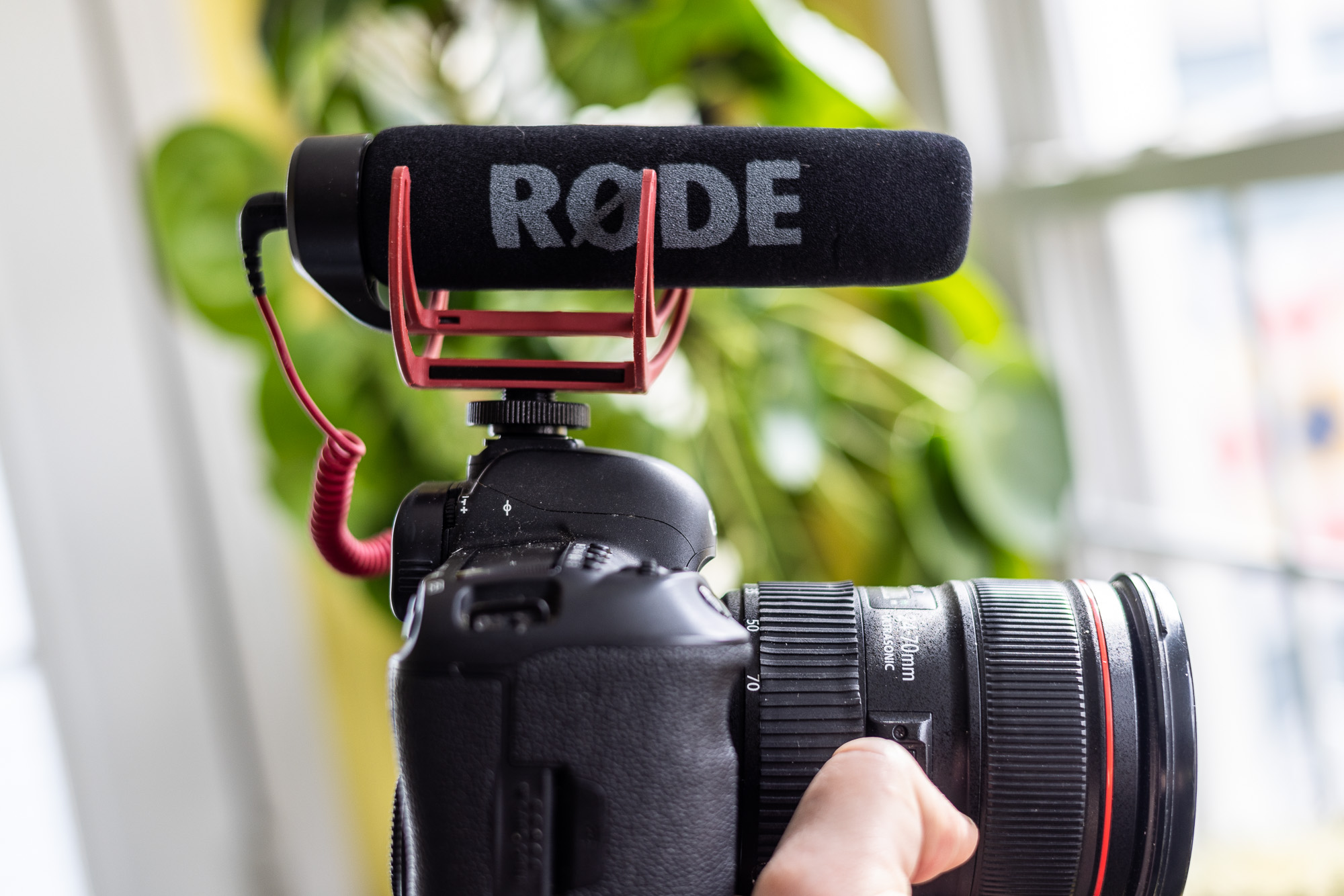 Rode videomic Go attached to a camera in front of some plants