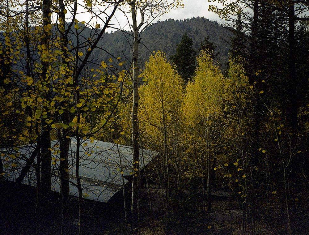 The complete guide to shooting expired film