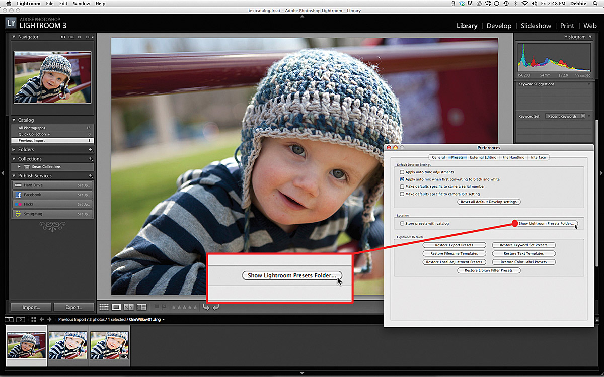 Software Workshop: Make Lightroom Presets