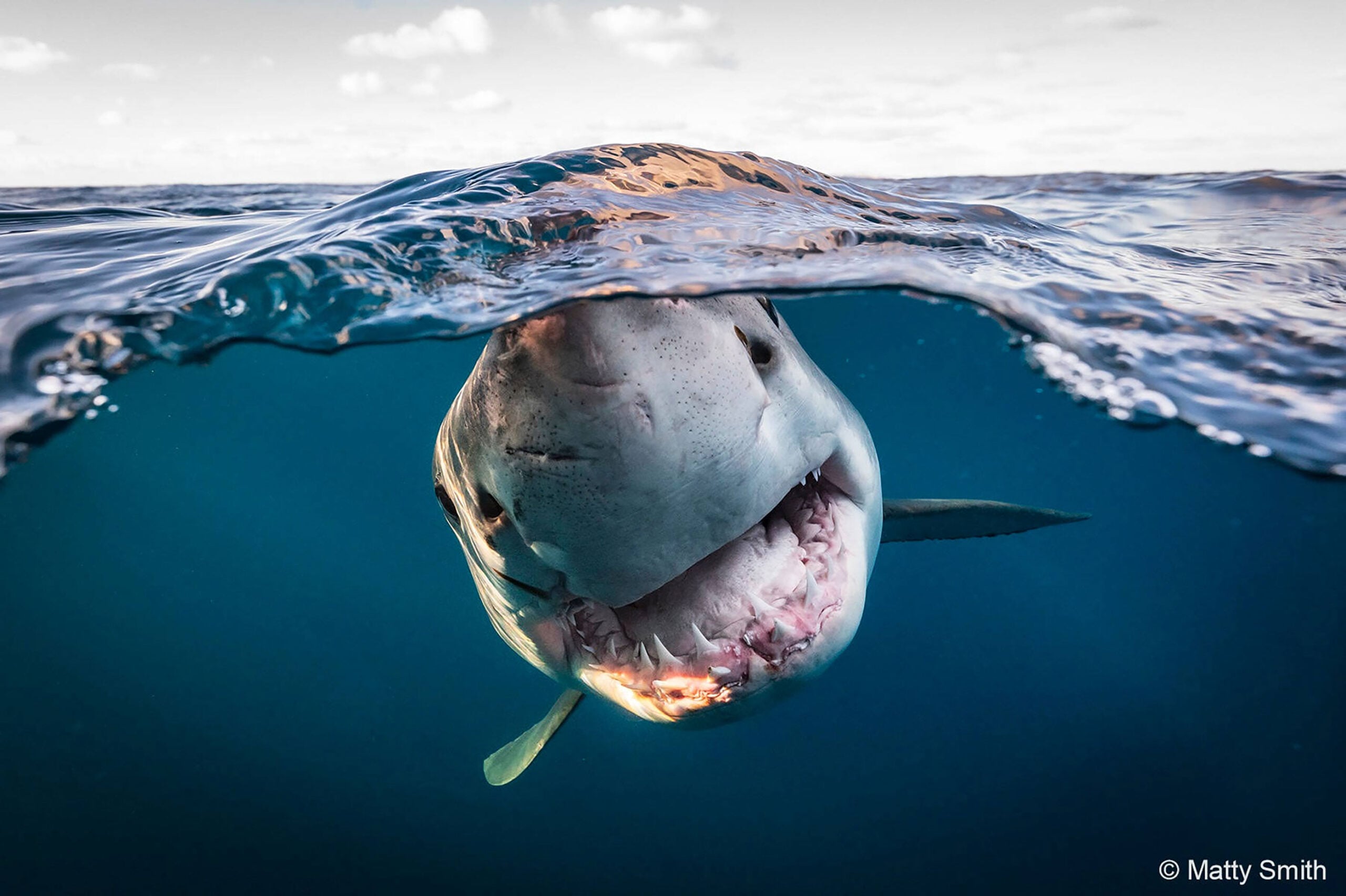 Adventures in the outback: Winners of the 2022 Australian Geographic photo awards