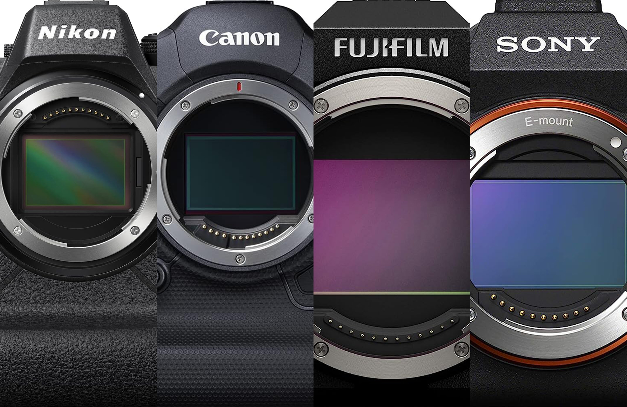 The best professional cameras of 2023