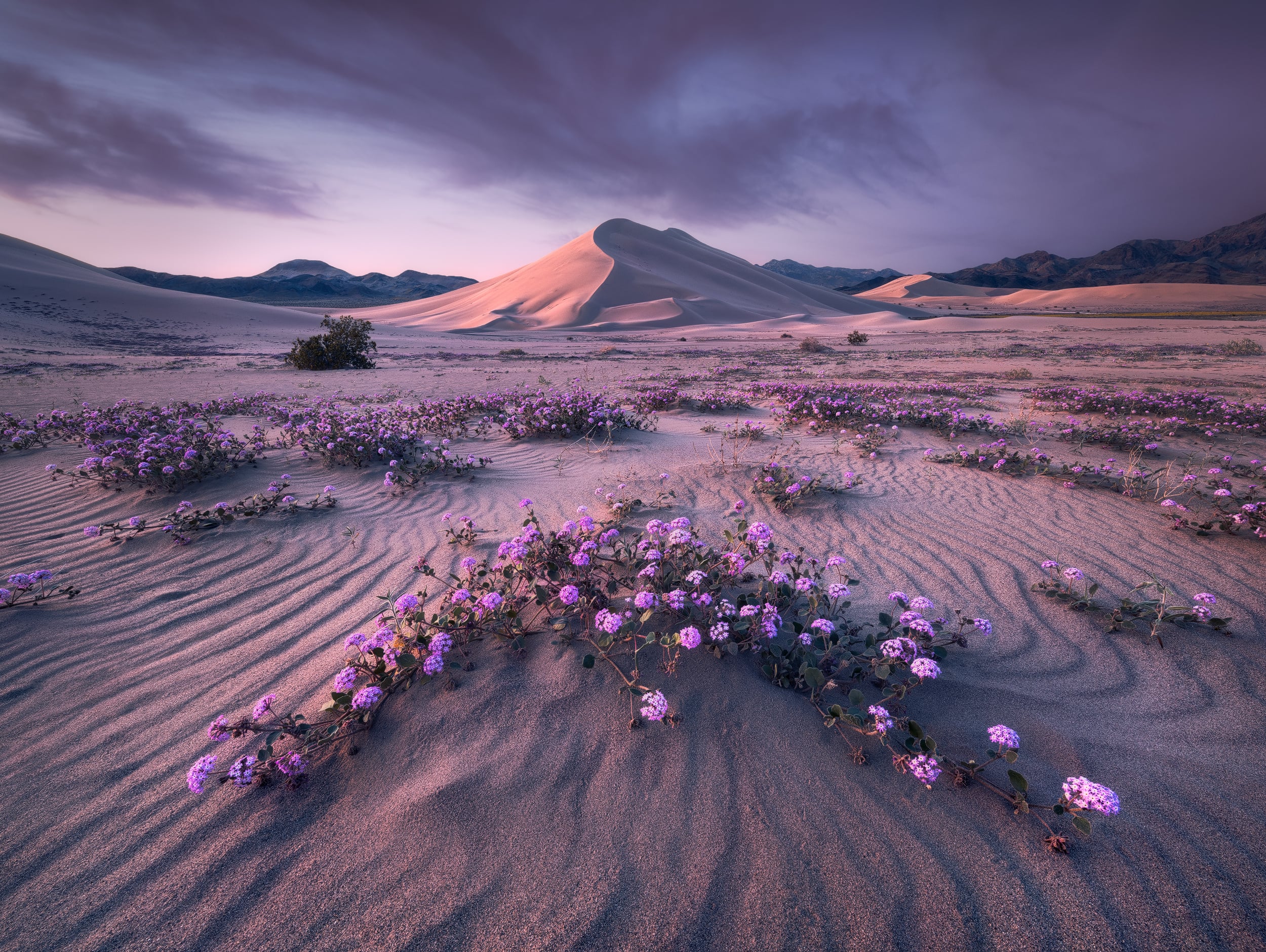 How landscape photographer Erin Babnik captures epic photos without leaving a trace