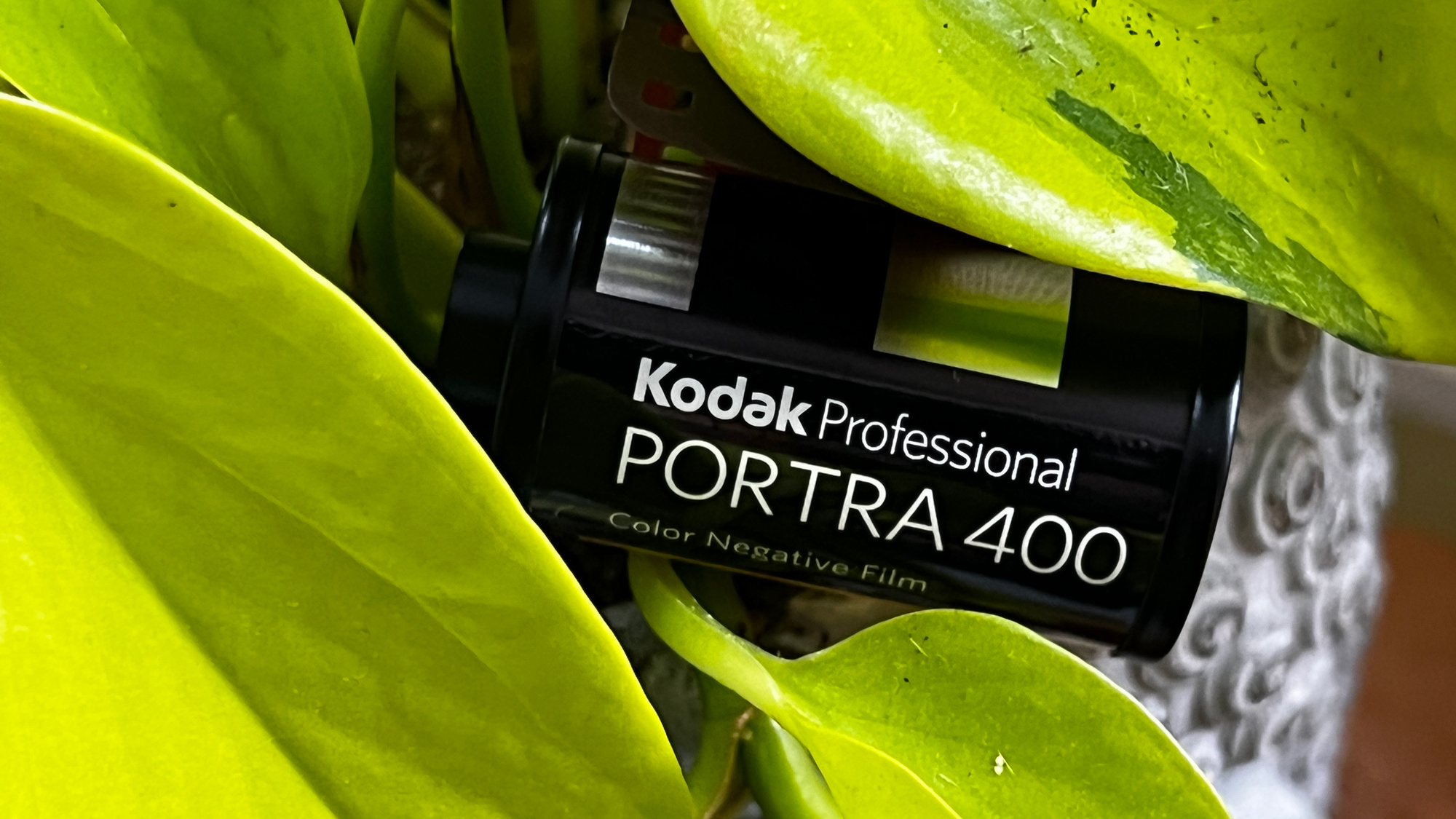 It’s getting easier to find film in-stock from big retailers again