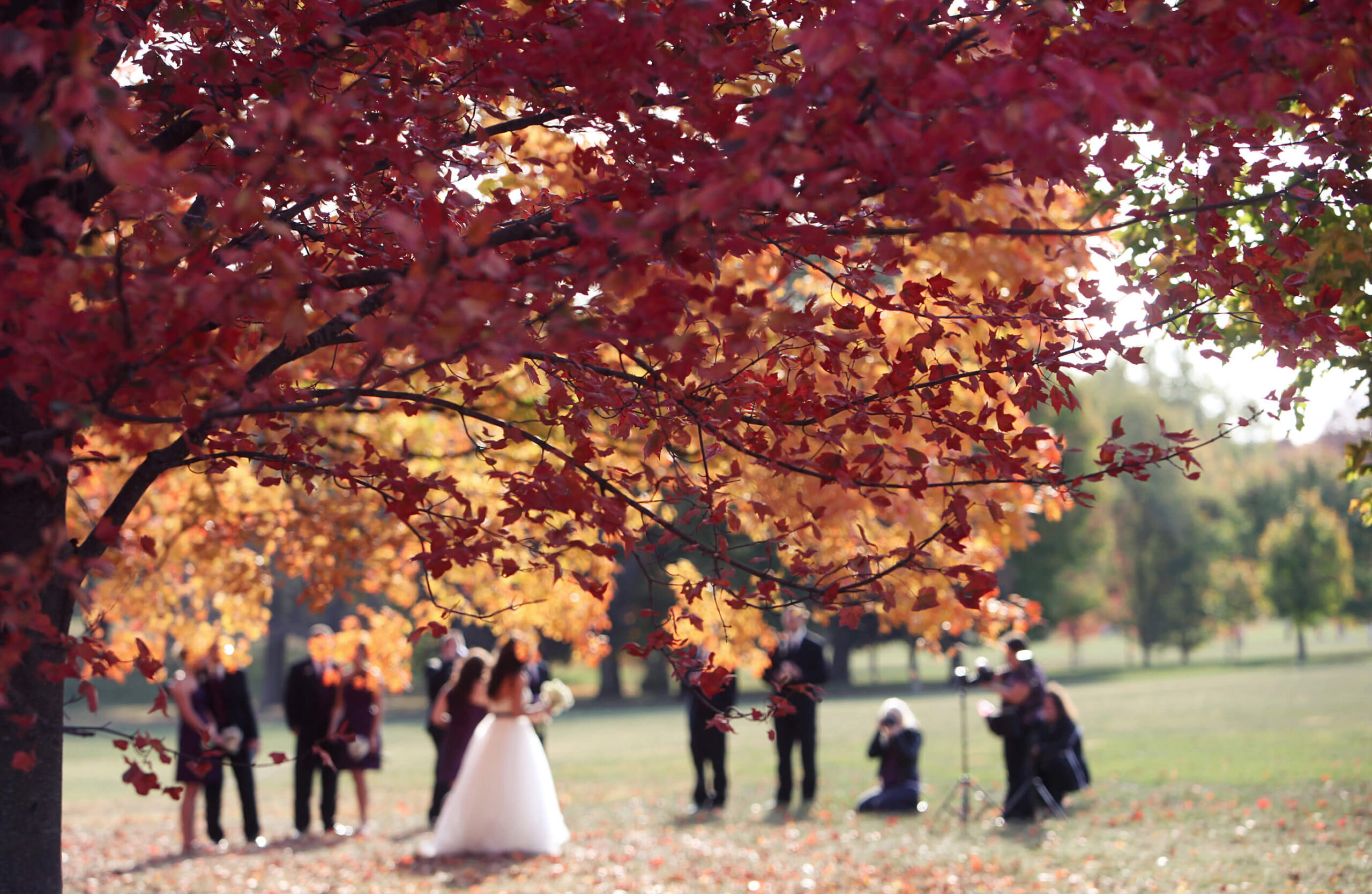 Unhappily-ever-after: Bankrupt wedding photographer leaves hundreds of couples hanging