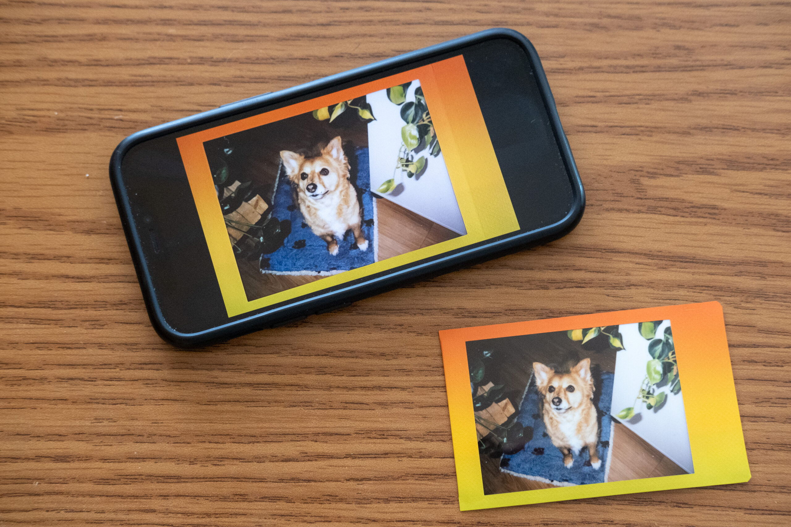 How to digitize an instant photo in three easy steps