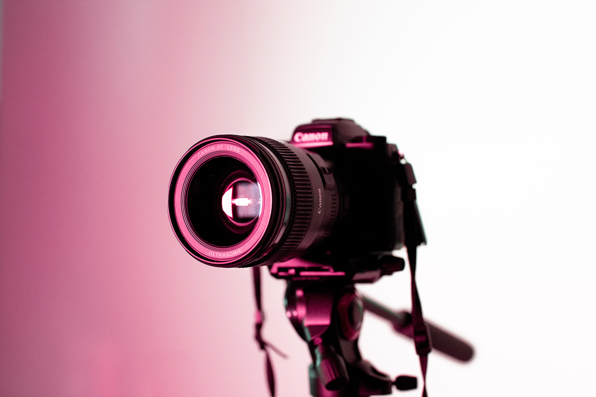 The best camera lens cases for 2023