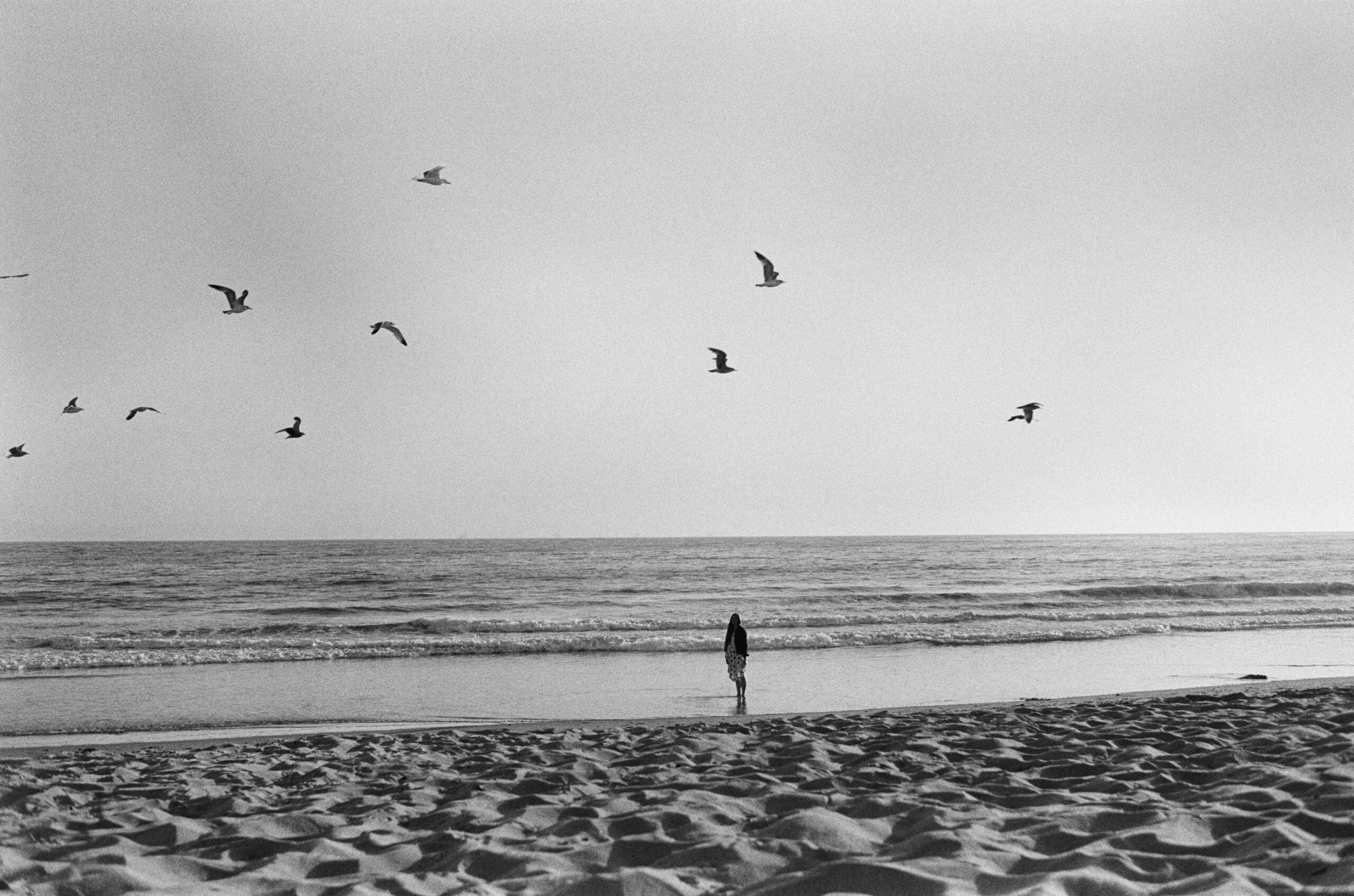 B&W challenge: Channel the early greats, show us your best monochrome photos