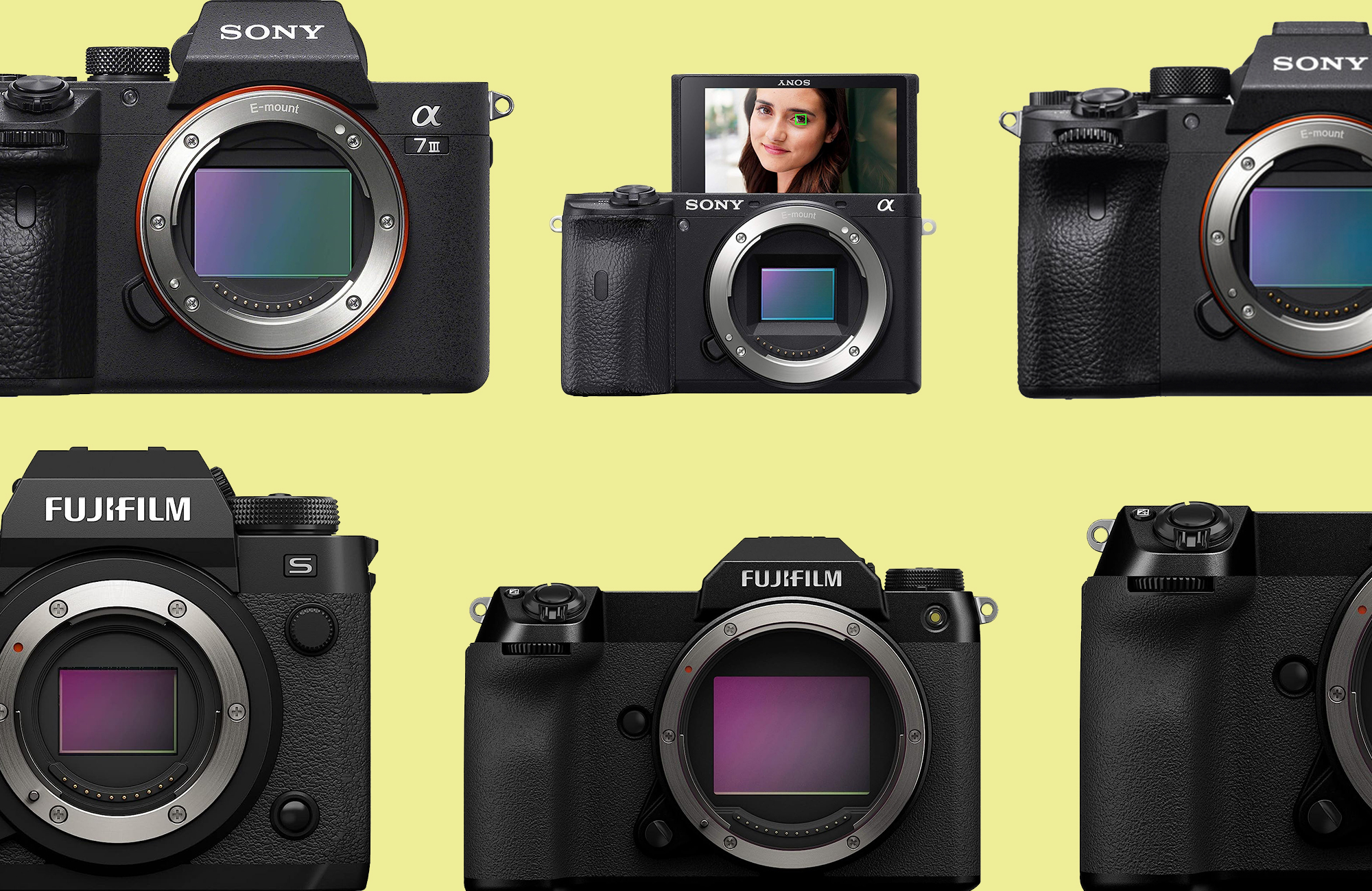 Save up to 30 percent on cameras at Moment during the Summer Camera Sale