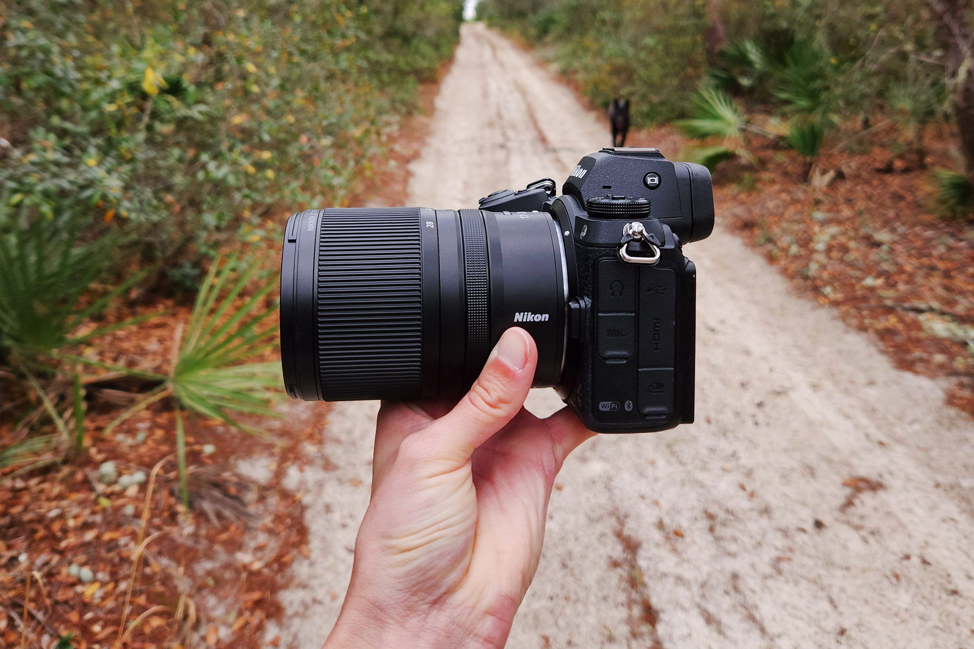NIKKOR Z 17-28mm f/2.8 lens review: A balance of quality and price