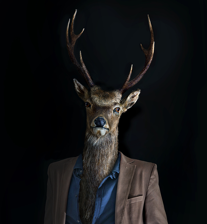 My Project: Miguel Vallinas’s Animal Instinct
