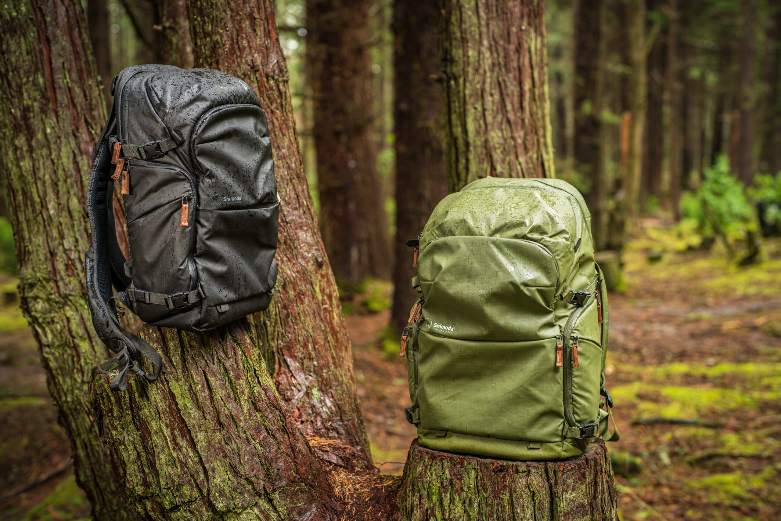 Shimoda Explore v2 review: a versatile camera backpack for nearly any adventure