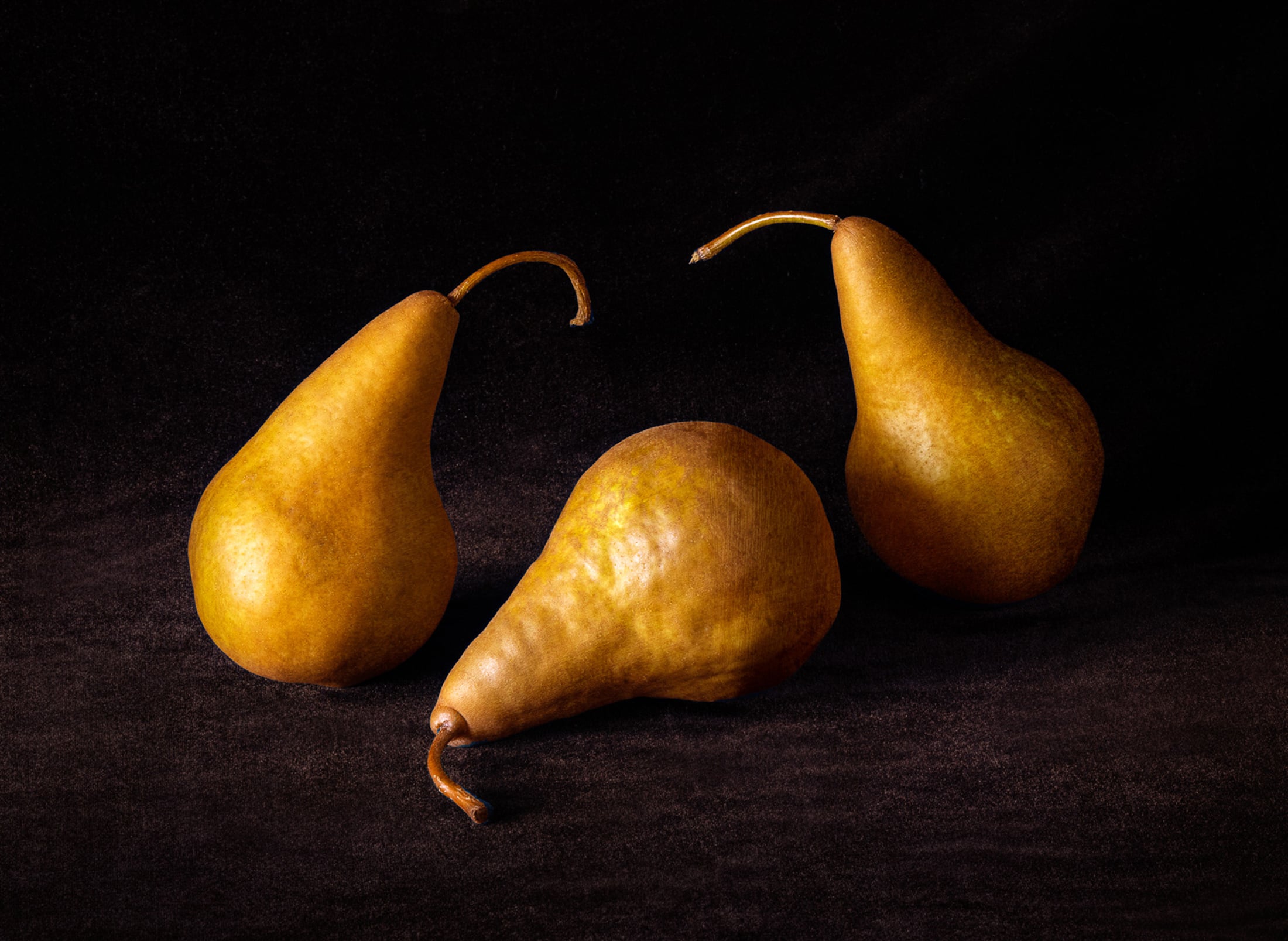 Freeze! The week’s best reader-submitted still life photos