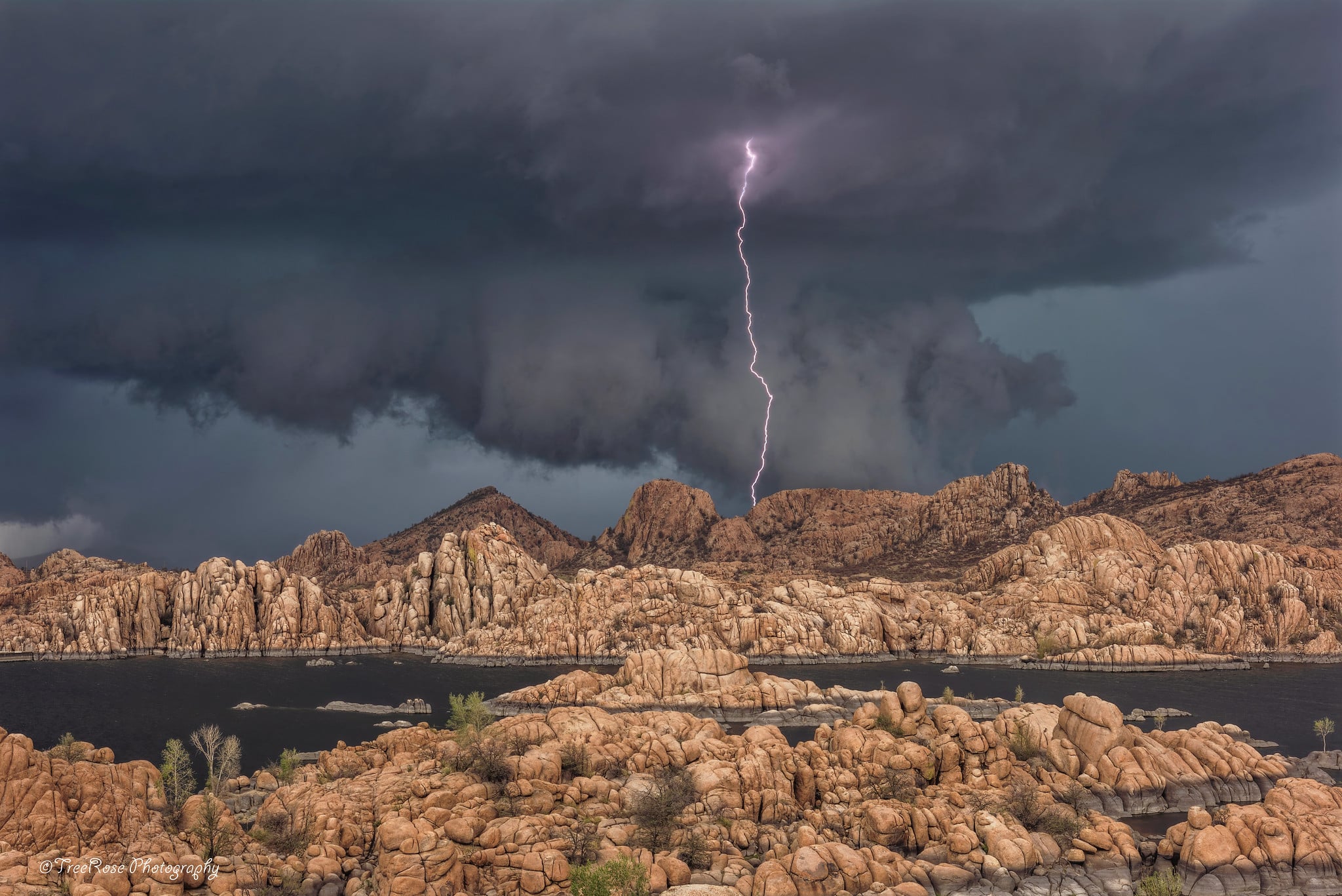 An epic lightning strike, a bird taking flight, and our other favorite Photos of the Day