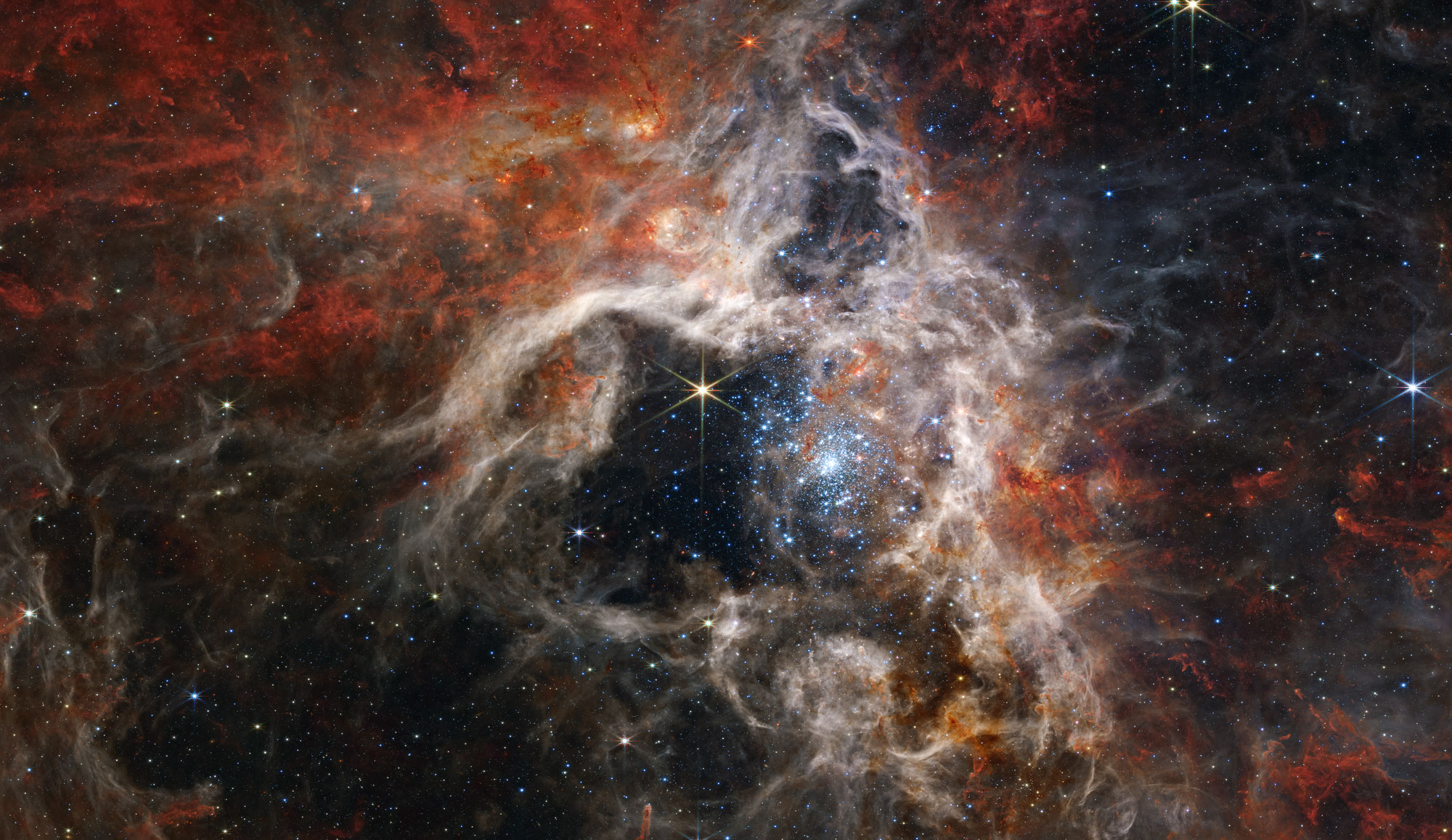 The Tarantula Nebula will ensnare you in a web of beauty