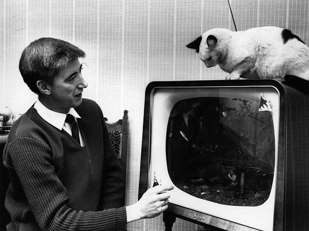 Vintage photos of cats prove that felines have a timeless style.