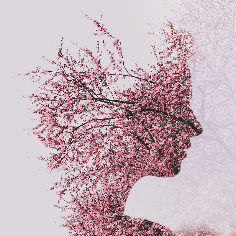 Shoot an in-camera double exposure photo