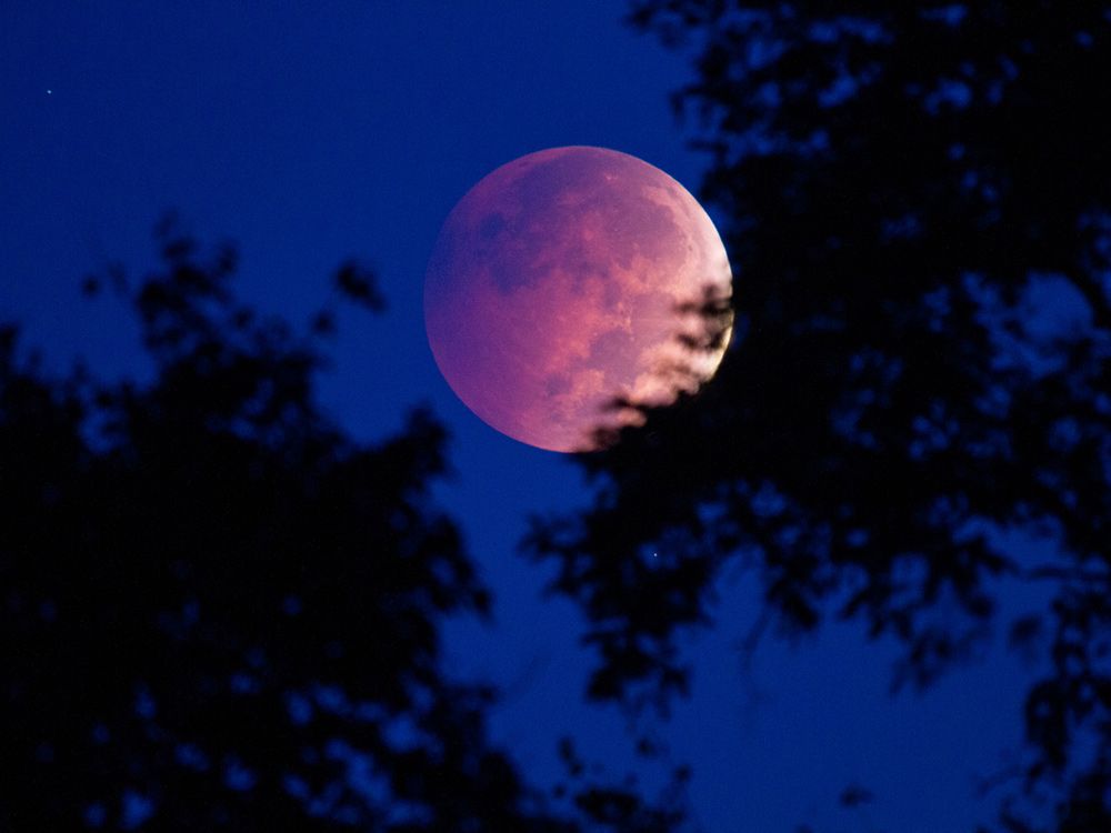 How to take a picture of the moon that doesn’t look like a tiny, white blob