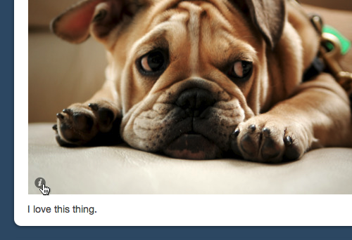 Tumblr Can Now Show EXIF Data on Photos